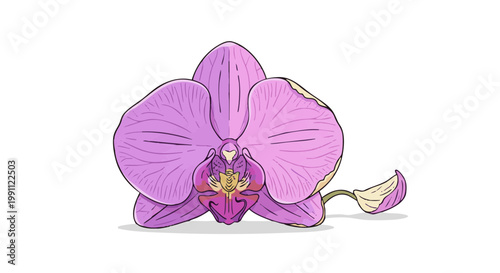 Purple orchid illustration with fading yellow petal on black background