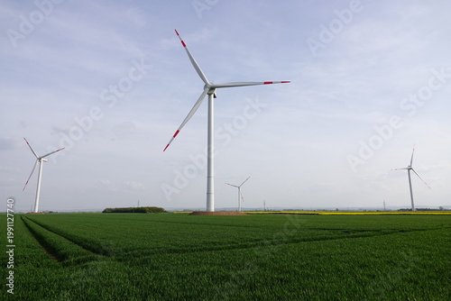 wind turbine in the field
