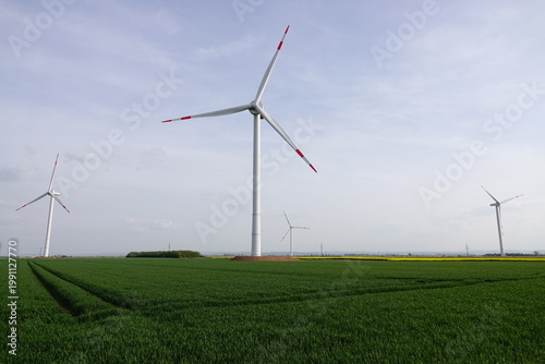 wind turbine in the field