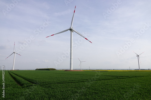 wind turbines farm