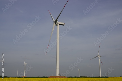 wind turbine in the field