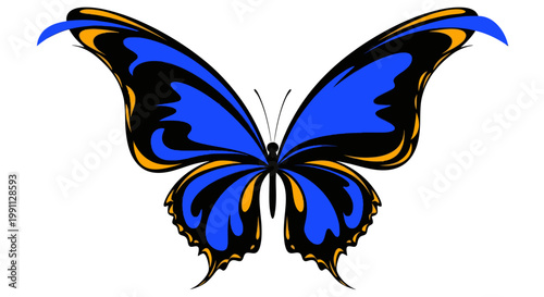 Vibrant blue butterfly with black wings.