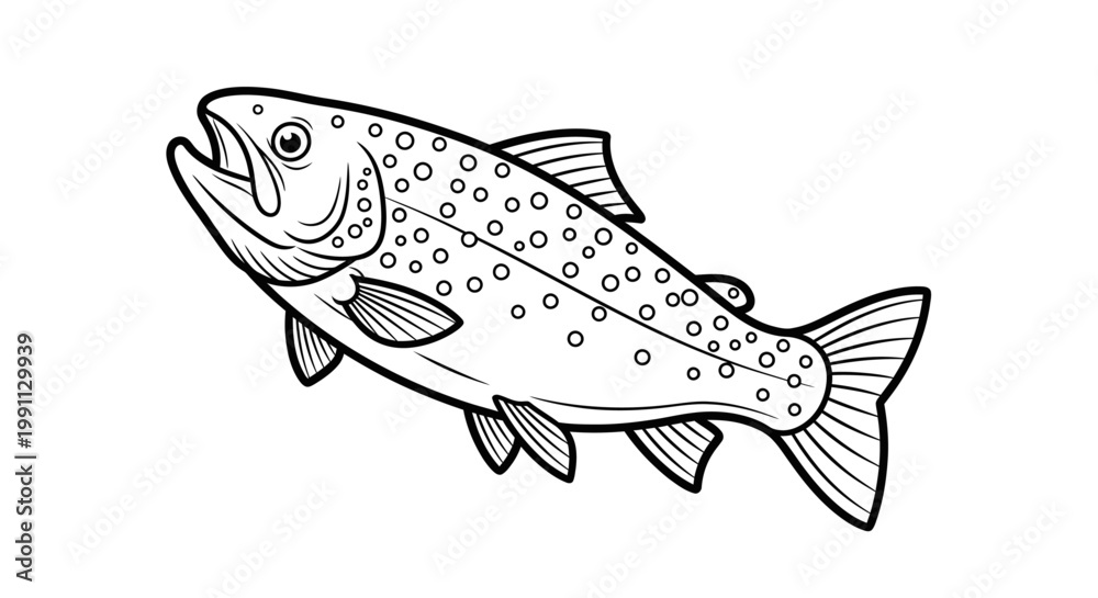 Fototapeta premium Trout fish, spotted trout, vector illustration, black and white, line art