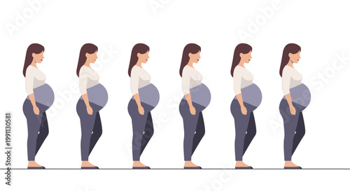 Pregnancy stages depicted in flat modern style with side view of women
