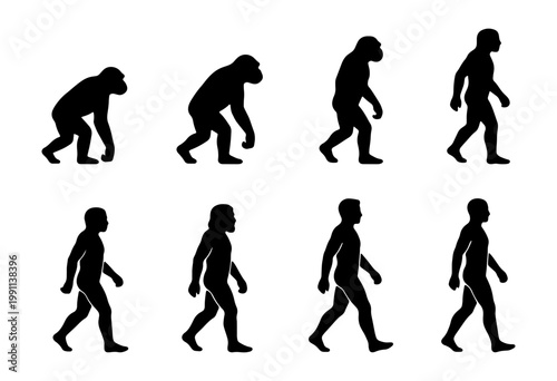Human evolution silhouettes, ape to man progress, biology vector icons