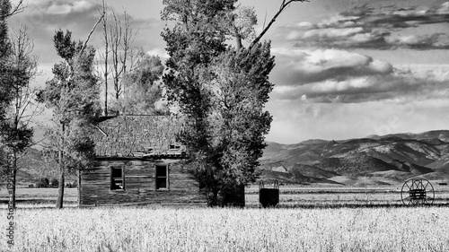Abandoned Colorado cabin