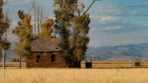Abandoned Colorado cabin