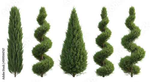 six distinct evergreen juniper trees, including columnar, conical, and spiral topiary forms with vibrant green dense foliage, isolated against a transparent studio background with copy space. concept