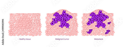 Cells structure sketch