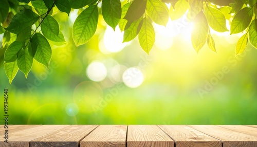Fresh Green Leaves Sunlight Spring Background Copy Space