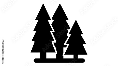 Black silhouette of three pine trees icon on white background vector illustration of a forest or woodland symbol for nat