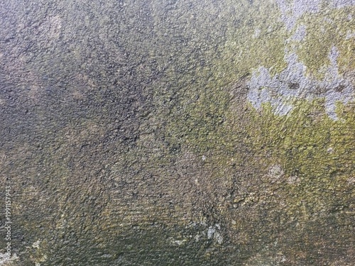 Photos Dark green mossy stone wall texture background