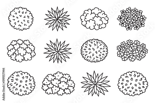 Top View Plants, Bushes and Flower Icons Set in Hand-Drawn Line Art for Garden Design