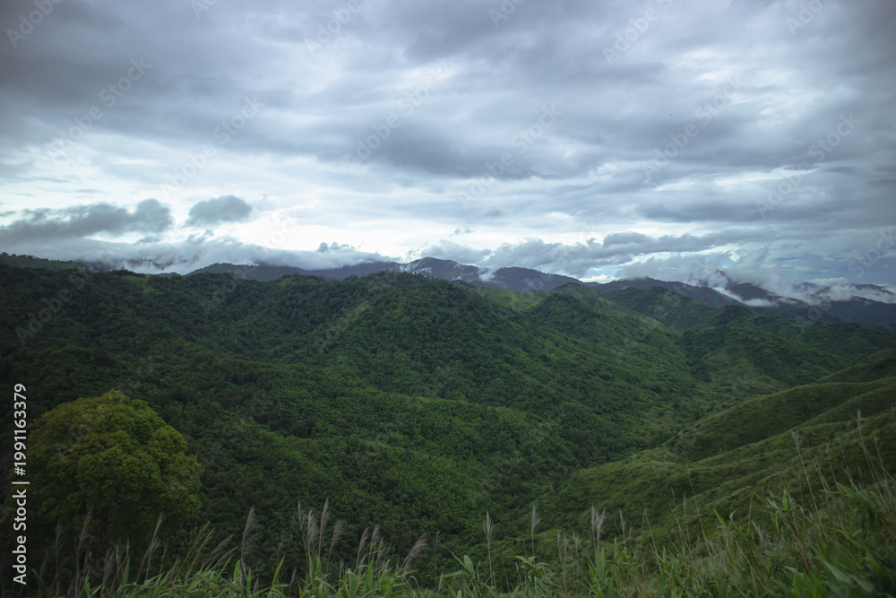 Fototapeta premium Lush green mountain valley and rolling highland hills under dramatic cloudy sky. Scenic nature panorama with misty ridges, peaceful wilderness landscape background.
