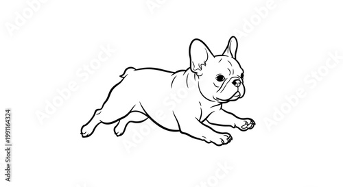 Striking vector outline of a playful French bulldog captured in mid-leap. transparent.