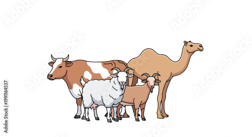 Eid Al Adha sacrifice animals including cow, sheep, goat, and camel illustration on white background