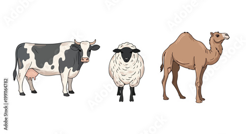 Eid Al Adha celebration animals including cow sheep and camel illustration for Islamic holiday sacrifice concept