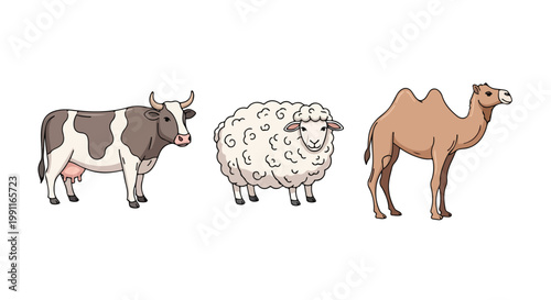 Eid Al Adha animals collection featuring a cow, sheep, and camel illustration for Islamic holiday celebrations