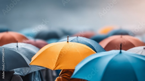 Colorful Large Umbrellas in Open Outdoor Setting on Rainy Day