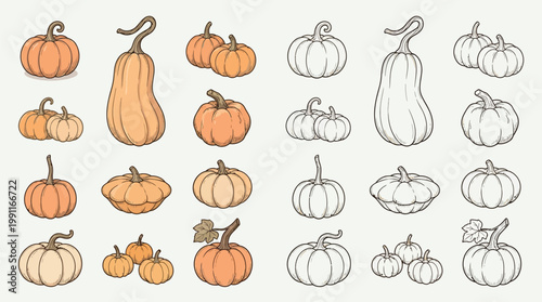 A collection of various pumpkin and squash illustrations, both colored and line art, showcasing different shapes and sizes.