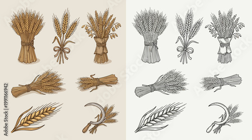 Collection of hand-drawn illustrations depicting wheat stalks, sheaves, and sickles in both color and monochrome styles.
