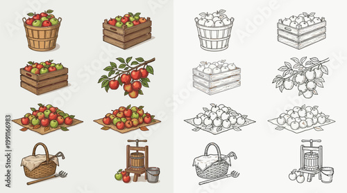 Collection of colorful and monochrome illustrations depicting various stages of apple harvesting and processing, including baskets, crates, branches, piles, and a press.
