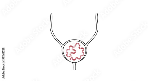 A stylized continuous line illustration of a kidney with its inner workings, depicting the intricate network of tubules and filtration system in a minimalist artistic style