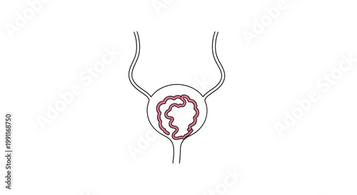 A simplified line art illustration of the human bladder with a stylized representation of the urinary tract system showing internal structure
