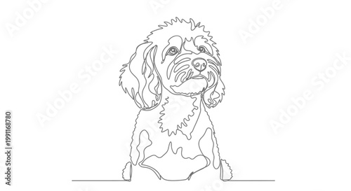 Minimalist single line drawing of a cute poodle dog, expressive eyes and fluffy hair, perfect for pet lovers and animal art collections