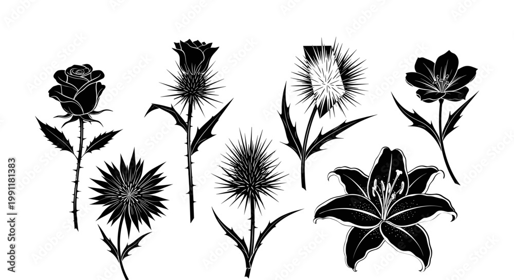 アザミの花」の写真素材 | 192,172件の無料イラスト画像 | Adobe Stock