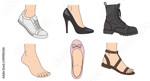 A diverse vector illustration showcasing various shoe styles like sneakers, heels, boots, flats, and sandals, alongside a detailed human bare foot.
