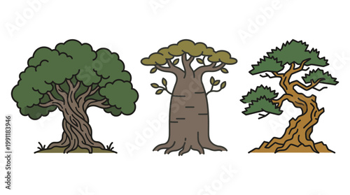 Set of diverse flat trees including oak baobab bonsai with roots on white background vector.