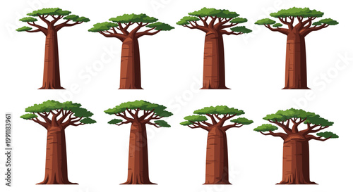 Collection of eight stylized baobab trees with thick trunks and green canopies isolated on a white background vector