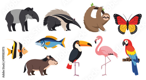 Collection of diverse amazon rainforest animals including tapir anteater sloth butterfly fish toucan flamingo macaw