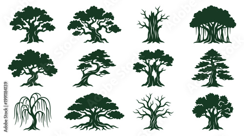 Dark green tree silhouettes featuring oak banyan bonsai willow dead branches vector.