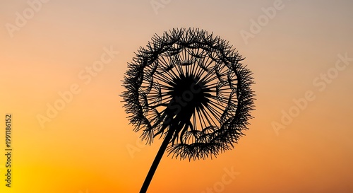 Silhouette of a dandelion seed head against a golden sunset sky