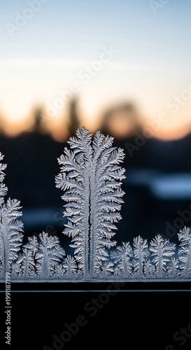 Intricate Ice Frost Patterns on Window Pane at Sunset