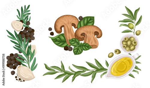 Vegetable composition set vector illustration. Hand drawn cartoon mushroom with olive oil and rosemary. Organic italian food for restaurant menu design. Natural kitchen product for culinary packaging.