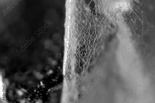 Macro texture of whiteheads and blackhead on peel off mask