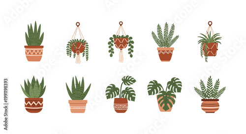 Collection of Houseplants in Decorative Pots, Hanging and Standing Plants