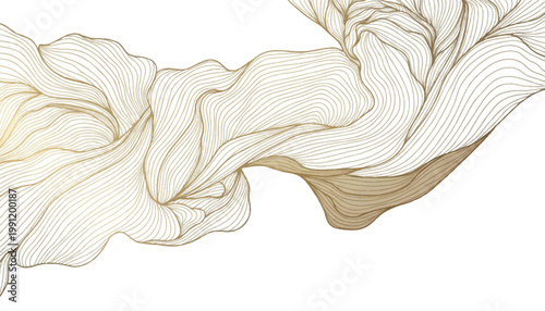 Abstract flowing organic lines in gold with white background organic shape abstract background decorative delicate minimalist contemporary