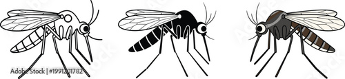 Mosquito Illustration Set with Line Art, Silhouette, and Colored Insect for Pest Control, Disease Awareness, and Biology Education