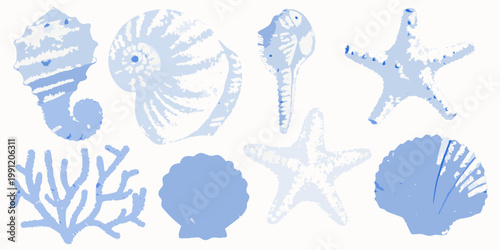 Delicate blue illustrations of various seashells coral and starfish