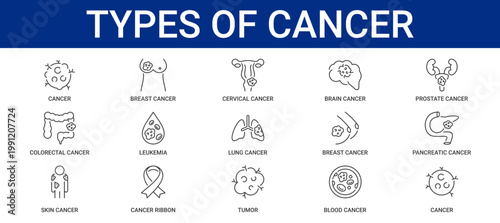 Types of Cancer icon set containing breast, cervical, brain, prostate, colorectal, leukemia, lung, pancreatic, blood, and skin cancer vector icons