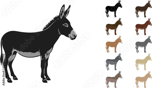 Vintage donkey vector illustration set, rustic farm animal silhouettes in various colors, hand drawn burro mule icons for ranch and agriculture branding