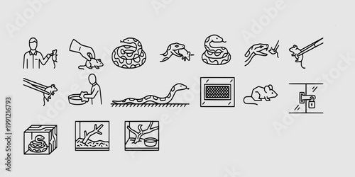 icon set collection of snake care and terrarium maintenance, featuring feeding rodents, habitat cleaning, and secure reptile enclosure equipment.