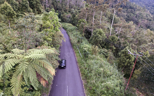 Aerial view of curved asphalt road through dense tropical forest with car