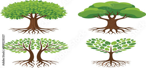 Botanical tree with roots vector set featuring 4 diverse canopy designs including heart shaped and mirrored oak symbols for environmental branding