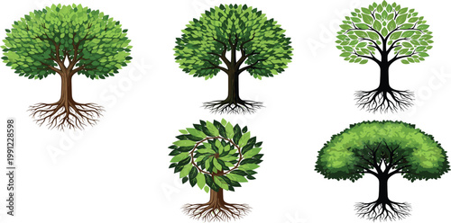 Botanical tree with roots vector set featuring 5 diverse canopy designs including family tree and oak symbols for environmental branding in a flat style.