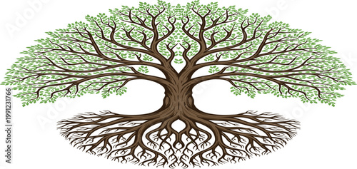 Symmetrical tree of life vector with intricate root system and leafy canopy for family tree genealogy and environmental conservation branding